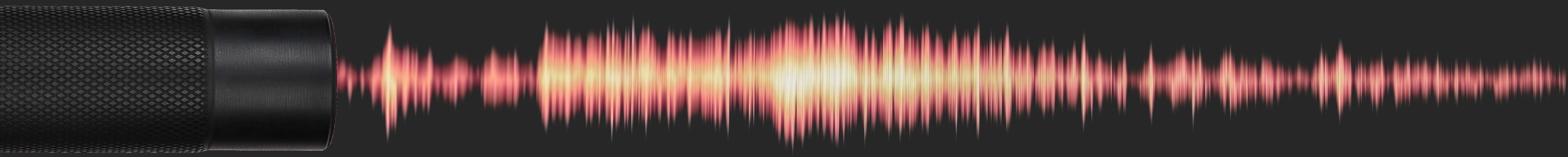 silenceranimation